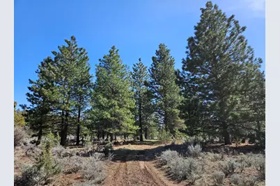 Dodds Hollow Road #895073, Merrill, OR 97633 - Photo 3
