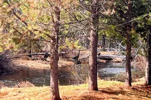 11762 Hemlock Creek Rd, Crescent Lake, OR 97733 - Photo 3