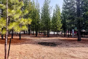 11762 Hemlock Creek Rd, Crescent Lake, OR 97733 - Photo 33