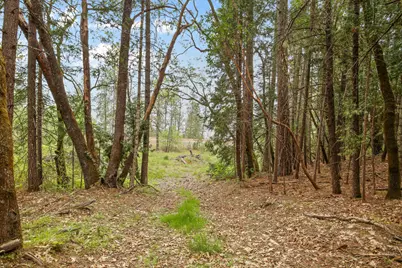 Redwood Highway, Grants Pass, OR 97527 - Photo 9