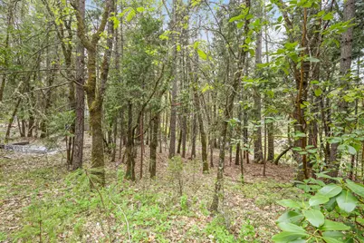 Redwood Highway, Grants Pass, OR 97527 - Photo 17