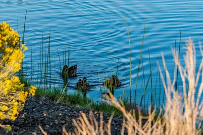 22989 Ghost Tree Lane #Lot 341, Bend, OR 97701 - Photo 9