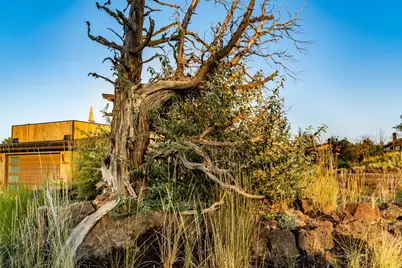 22989 Ghost Tree Lane #Lot 341, Bend, OR 97701 - Photo 17