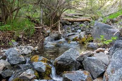 12310 Ramsey Road, Gold Hill, OR 97525 - Photo 71