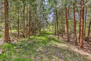 545 Conifer Way, Ashland, OR 97520 - Photo 39