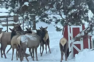 17235 S Century Dr, Bend, OR 97707 - Photo 57