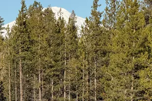 17235 S Century Dr, Bend, OR 97707 - Photo 5