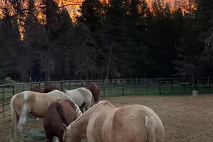 17235 S Century Dr, Bend, OR 97707 - Photo 11