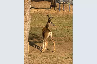17235 S Century Drive, Bend, OR 97707 - Photo 51