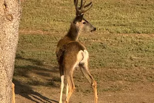 17235 S Century Dr, Bend, OR 97707 - Photo 51