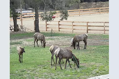 17235 S Century Drive, Bend, OR 97707 - Photo 55