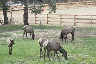 17235 S Century Dr, Bend, OR 97707 - Photo 55