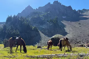 17235 S Century Dr, Bend, OR 97707 - Photo 45