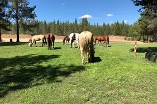 17235 S Century Dr, Bend, OR 97707 - Photo 47