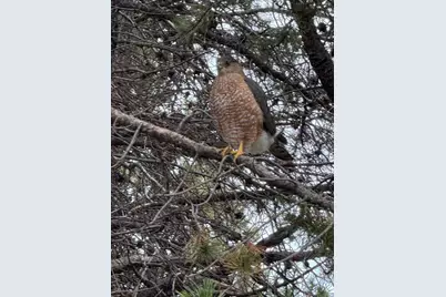 17235 S Century Drive, Bend, OR 97707 - Photo 57