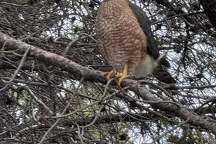 17235 S Century Dr, Bend, OR 97707 - Photo 57