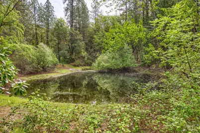 770 Pass Creek Road, Grants Pass, OR 97526 - Photo 9