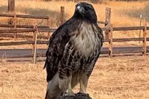 4632 Marsh Hawk Dr, Klamath Falls, OR 97601 - Photo 35