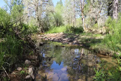 24100 E Evans Creek Road, White City, OR 97503 - Photo 103