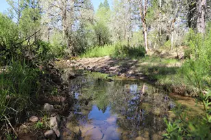 24100 E Evans Creek Rd, White City, OR 97503 - Photo 105