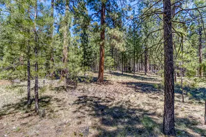 13582 Hollyhock #BBH13, Black Butte Ranch, OR 97759 - Photo 9