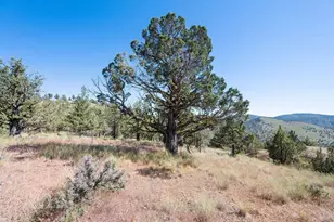 12400 SE Cotton Tail Ln, Prineville, OR 97754 - Photo 87