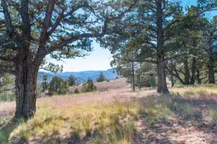 12400 SE Cotton Tail Ln, Prineville, OR 97754 - Photo 85