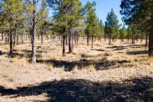 12400 SE Cotton Tail Ln, Prineville, OR 97754 - Photo 81