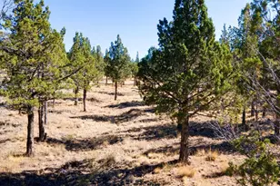 12400 SE Cotton Tail Ln, Prineville, OR 97754 - Photo 77