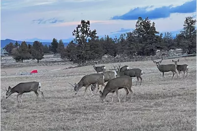 23636 Ten Barr Trail, Bend, OR 97701 - Photo 45