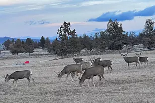 23636 Ten Barr Trl, Bend, OR 97701 - Photo 45