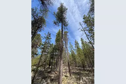 15942 Leslie Drive, La Pine, OR 97739 - Photo 15