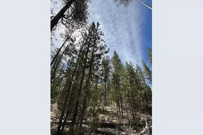 15942 Leslie Drive, La Pine, OR 97739 - Photo 13