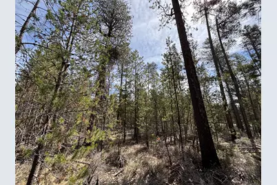 15942 Leslie Drive, La Pine, OR 97739 - Photo 11