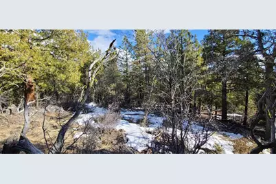 Tl4600, Bonanza, OR 97623 - Photo 7