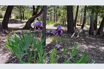 13007 Perry Road, Central Point, OR 97502 - Photo 25