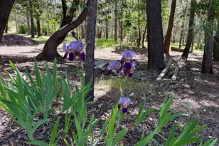 13007 Perry Rd, Central Point, OR 97502 - Photo 25