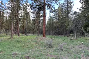 Red Deer Ln, Bonanza, OR 97623 - Photo 1