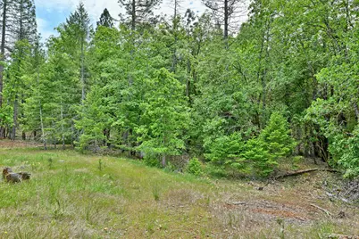 261 White Oak Drive, Cave Junction, OR 97523 - Photo 49