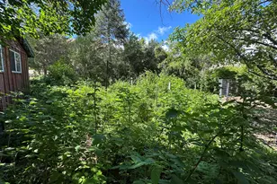 440 Mountain Blvd, Mount Vernon, OR 97865 - Photo 15