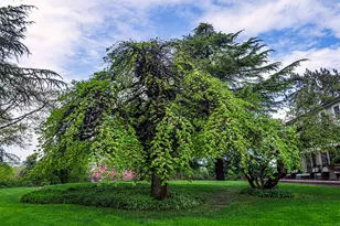 1503 E Main St, Medford, OR 97504 - Photo 13