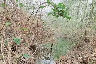 5400 Lakeshore Dr, Selma, OR 97538 - Photo 7