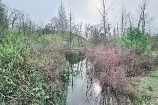 5400 Lakeshore Dr, Selma, OR 97538 - Photo 11