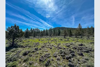 Shamrock #Lots 7 & 8, Keno, OR 97627 - Photo 9