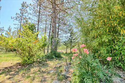 1190 Cedar Flat Road, Williams, OR 97544 - Photo 35