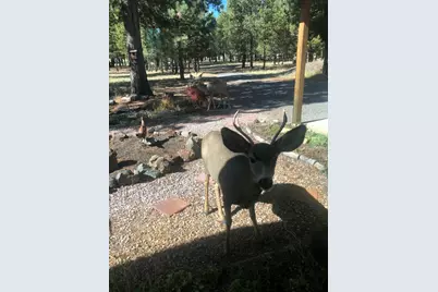 53530 Bridge Drive, La Pine, OR 97739 - Photo 61