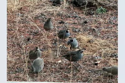 53530 Bridge Drive, La Pine, OR 97739 - Photo 59