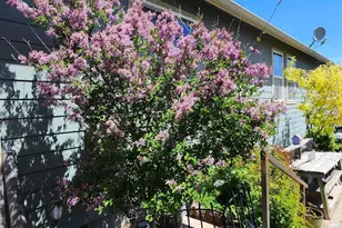 11325 N W Irvine Ave, Prineville, OR 97754 - Photo 33