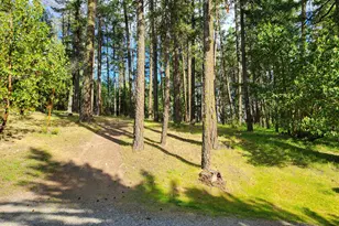 6041 Sterling Creek Rd, Jacksonville, OR 97530 - Photo 29