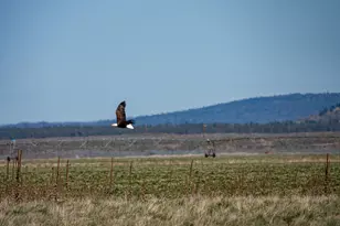 82678 Shotgun Pass Ln, Christmas Valley, OR 97641 - Photo 47